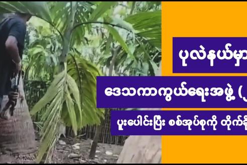 Embedded thumbnail for ပုလဲနယ်မှာ ဒေသကာကွယ်ရေး အဖွဲ့(၂၀)ခန့် စုပေါင်းပြီး စစ်အုပ်စုကို တိုက်ခိုက်၊ နှစ်ဖက် အကျအဆုံးရှိ၊